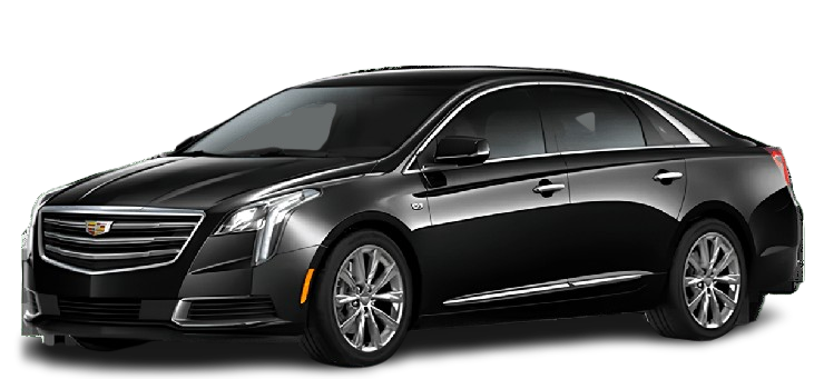 Selected Vehicle